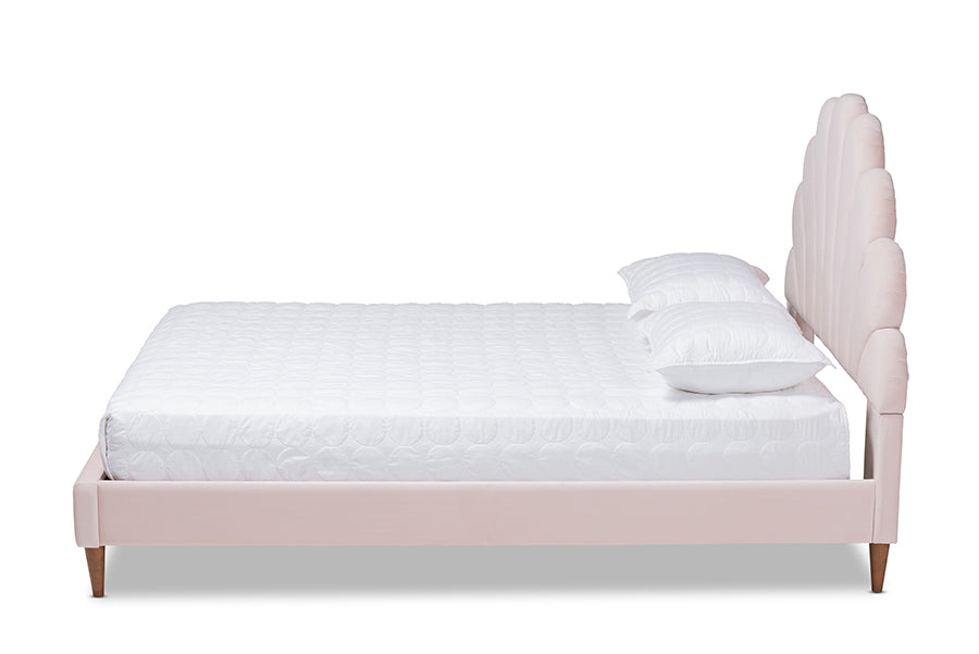 Baxton Studio Odille Modern Glam Light Pink Velvet Upholstered Walnut Brown Finished Wood Queen Size Seashell Shaped Platform Bed