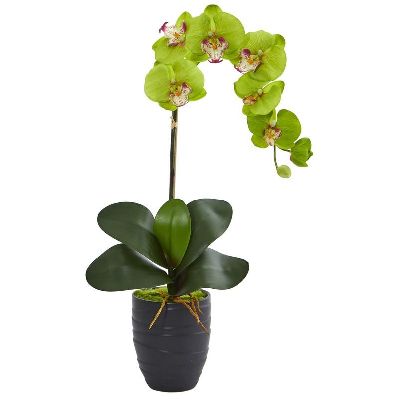 Phalaenopsis Orchid Artificial Arrangement in Black Vase