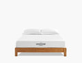 Aveline 8" Full Mattress by Modway