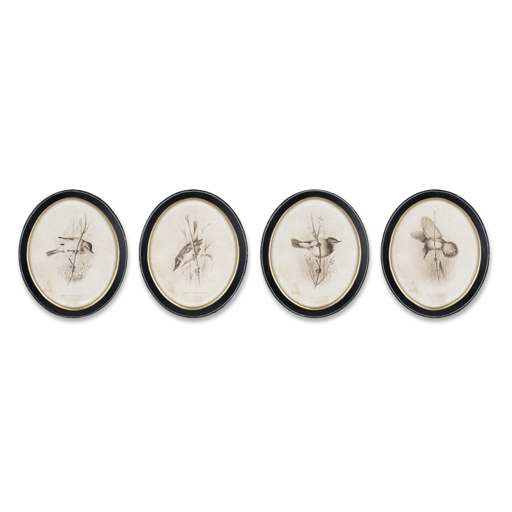 Framed Bird Print (Set of 4)