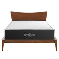 Aveline 14" Memory Foam King Mattress by Modway