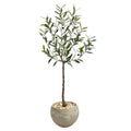 50" Olive Artificial Tree in Sand Colored Planter